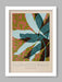 Floraison Bleue Botanical poster print. Floral design horticultural print