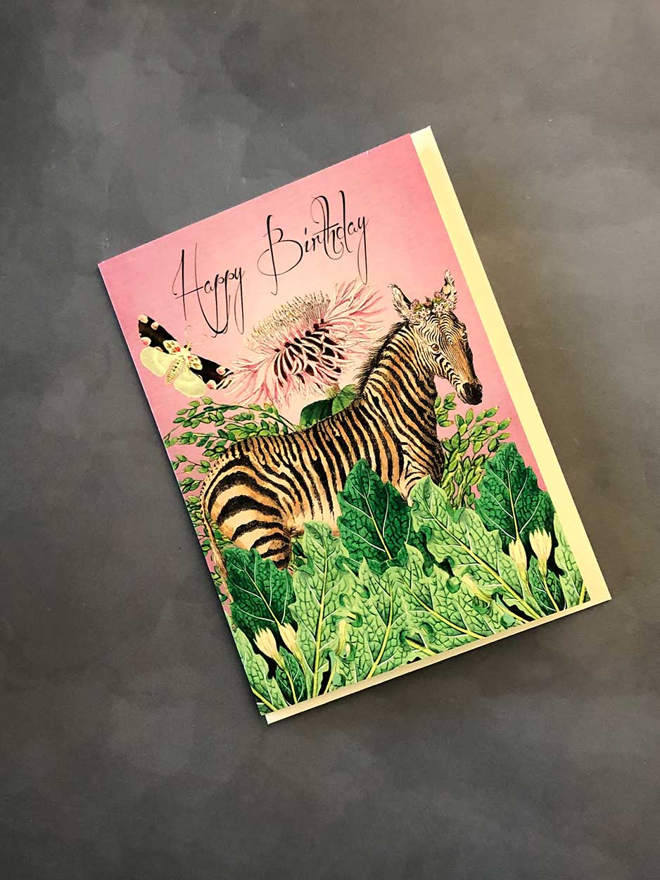 zebra birthday card
