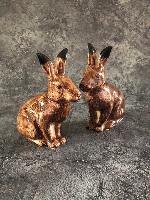 hare salt and pepper set by quail