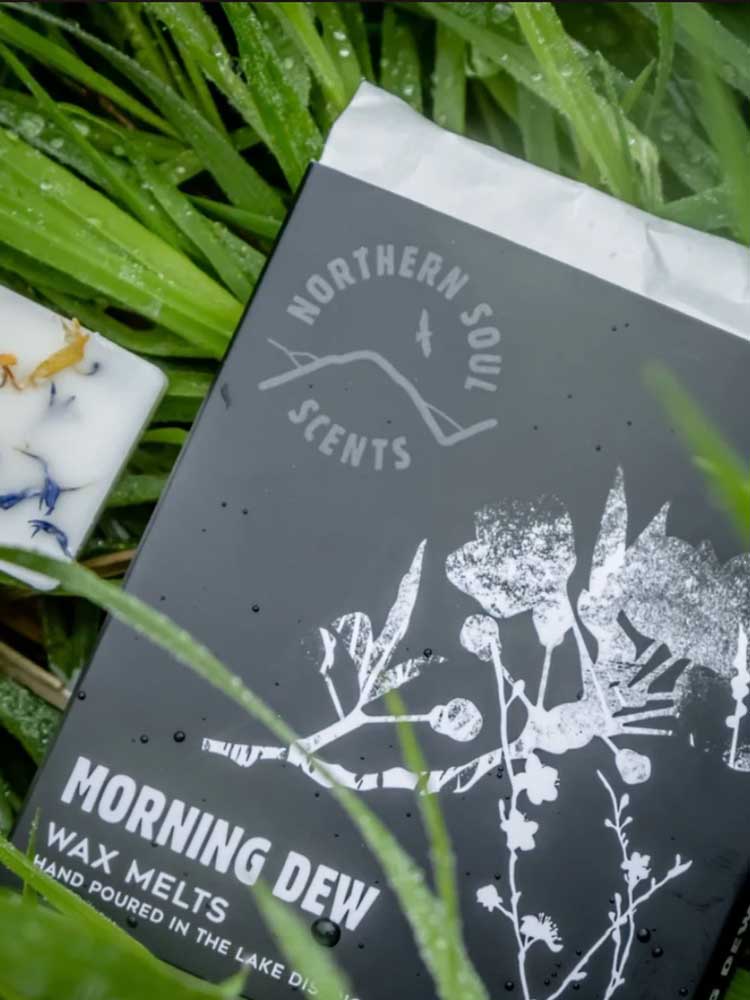 Lake District Wax Melt - Pack of 6 traditional gift The Northern Line Morning Dew 