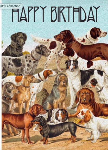 Lots of Dogs - Blank Greeting Card card The Northern Line 