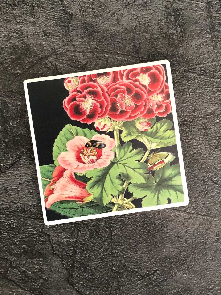 flower coaster