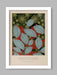 Printemps Botanical poster print. Floral design, gardening print
