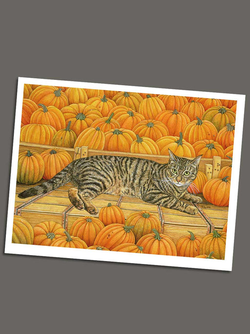 pumpkin cat card