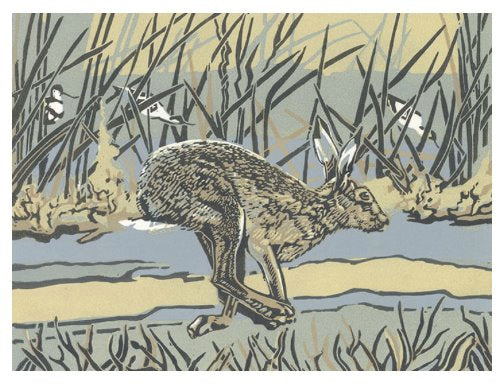 salt marsh hare card