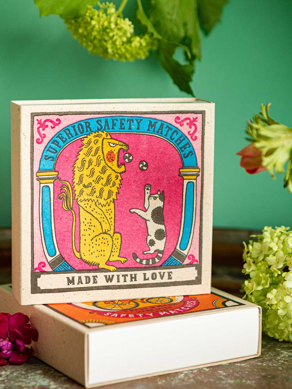cat and lion matches