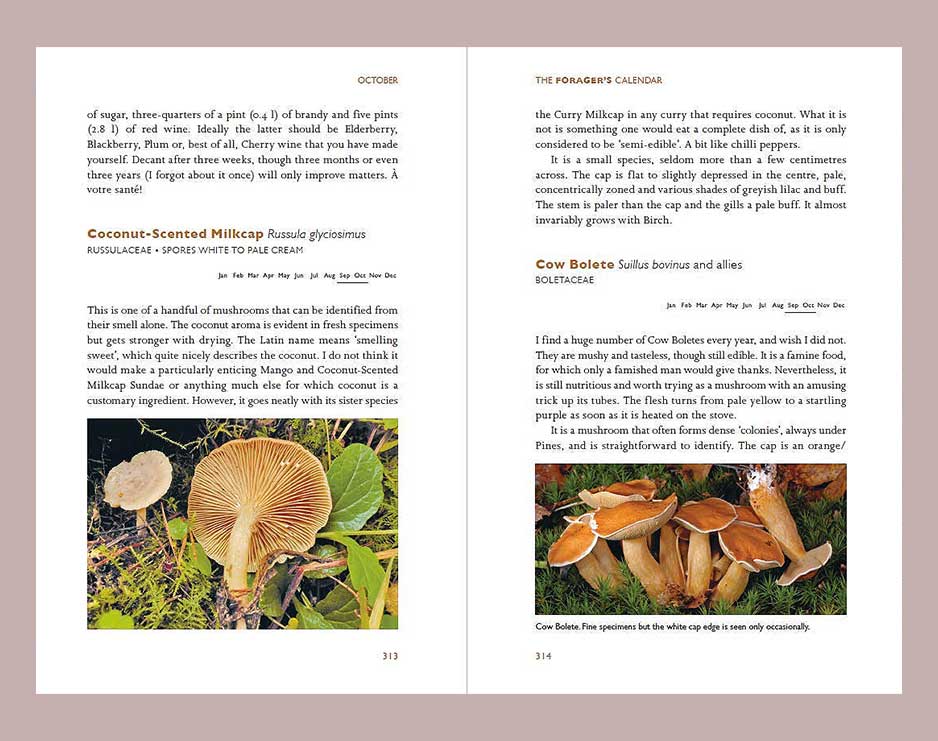 The Foragers Calendar Book Books The Northern Line 