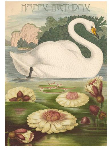 vintage swan card