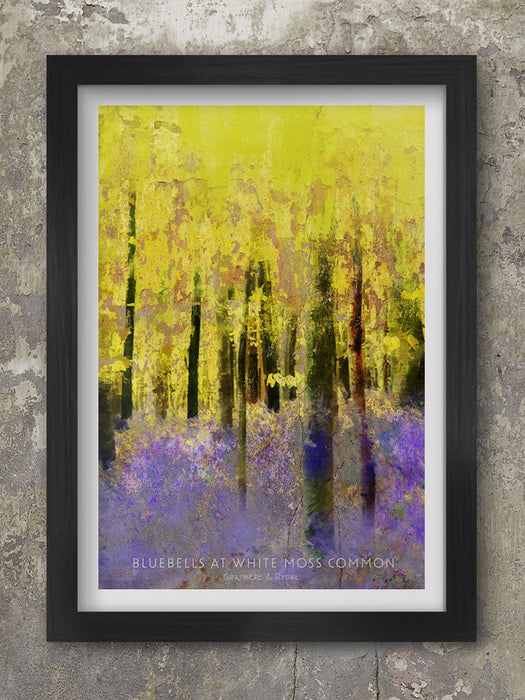 Bluebells Poster. White Moss Common Lake District