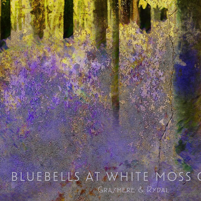 White Moss Common Bluebells Poster Posters The Northern Line 